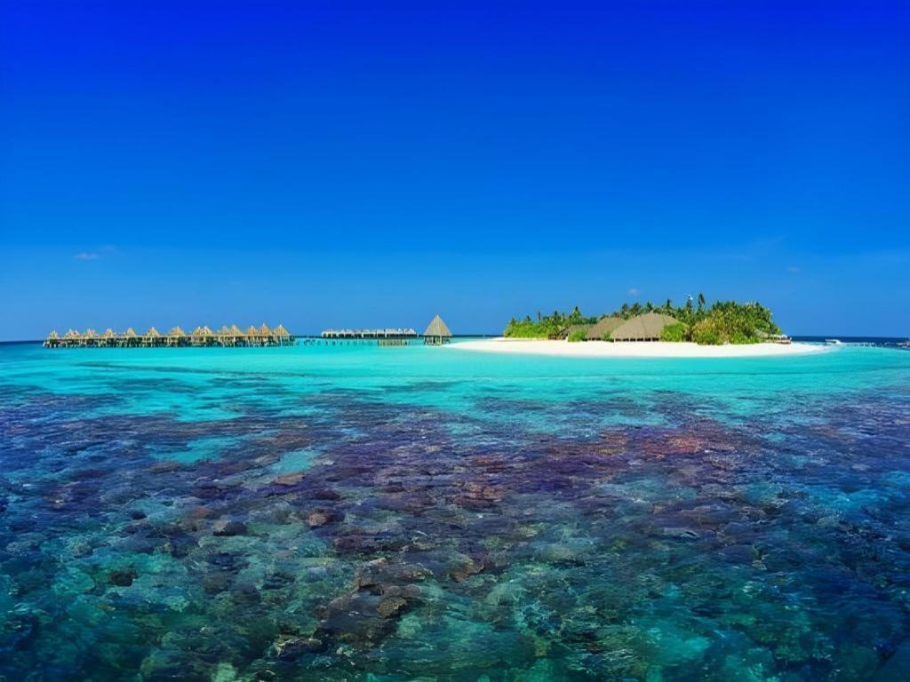 Angaga Island Resort And Spa Ngoại thất bức ảnh
